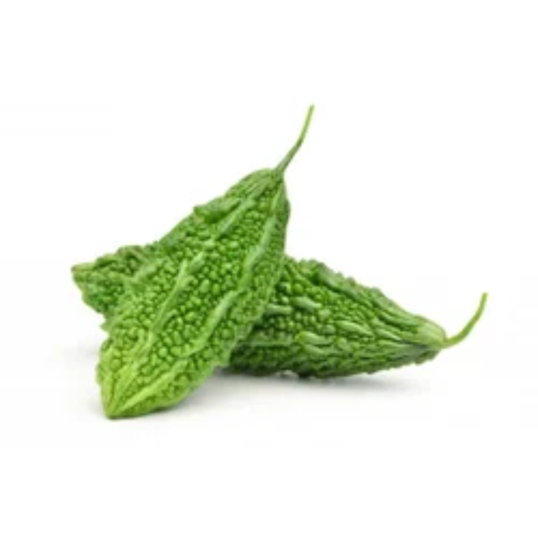 Hybrid Green Karela Bitter Gourd Wholesaler – UAE